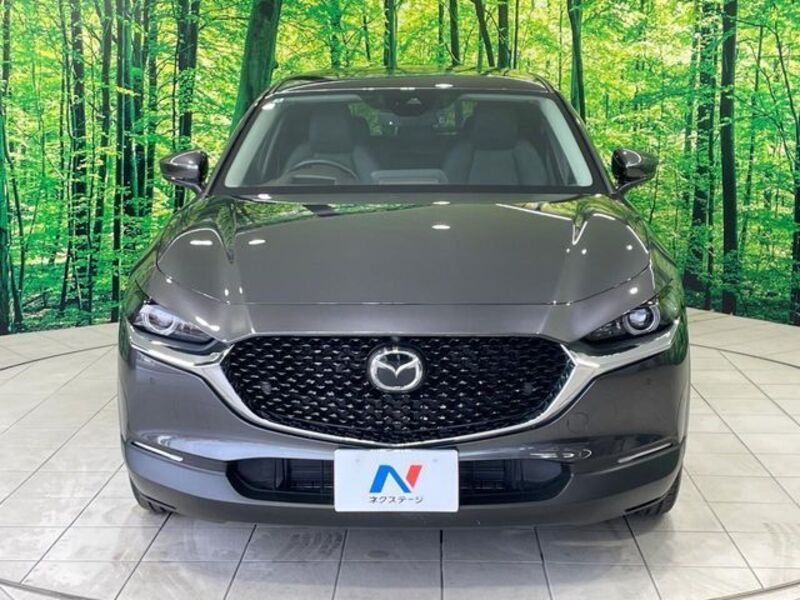 CX-30