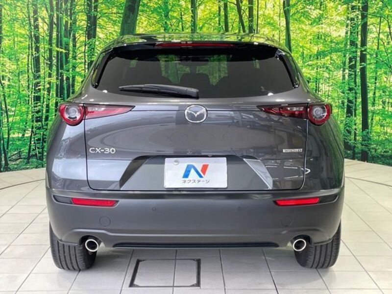 CX-30