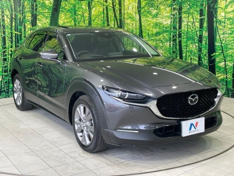 CX-30