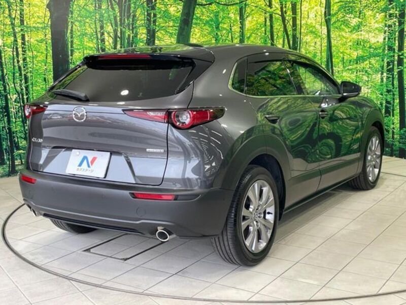 CX-30