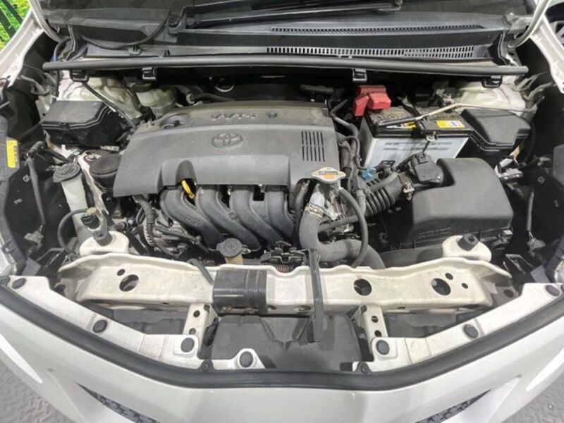 VITZ