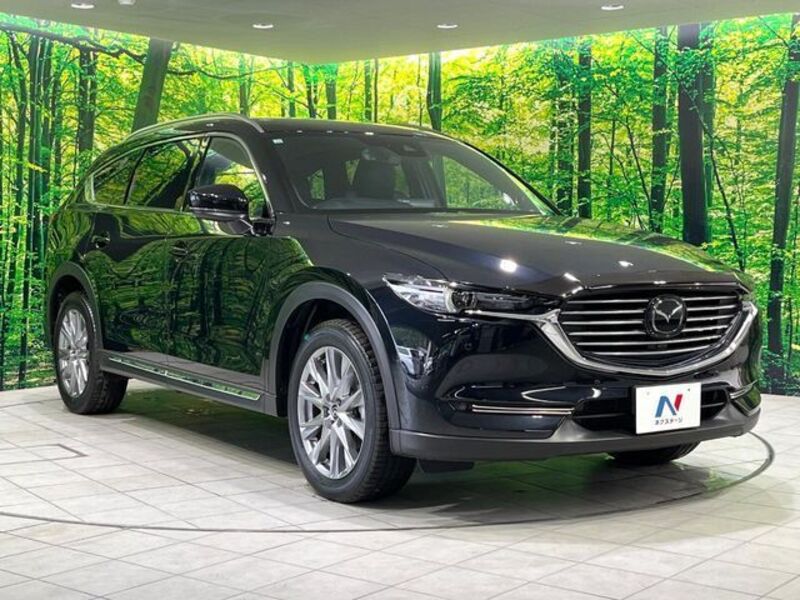 CX-8