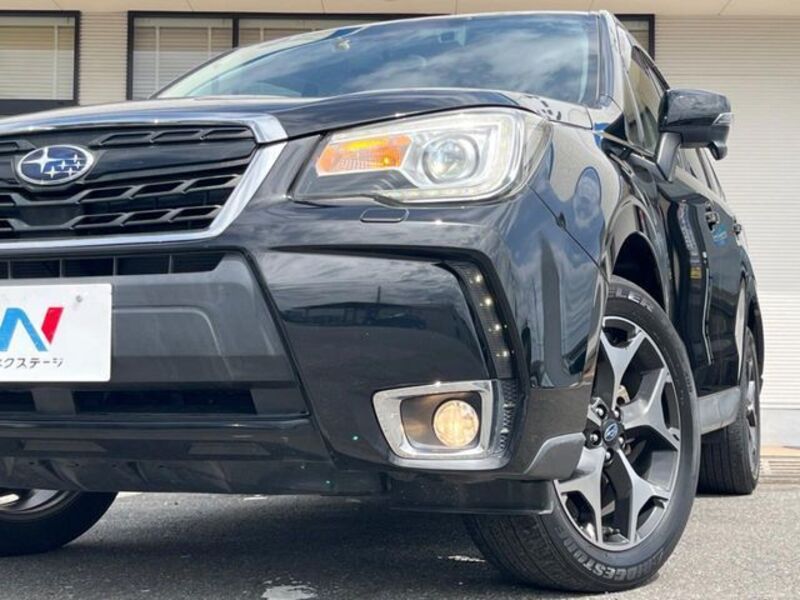 FORESTER