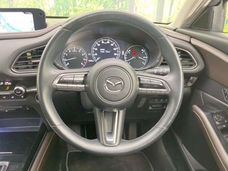 CX-30
