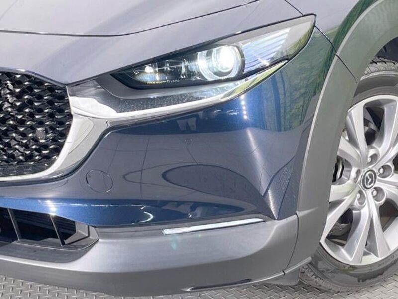 CX-30