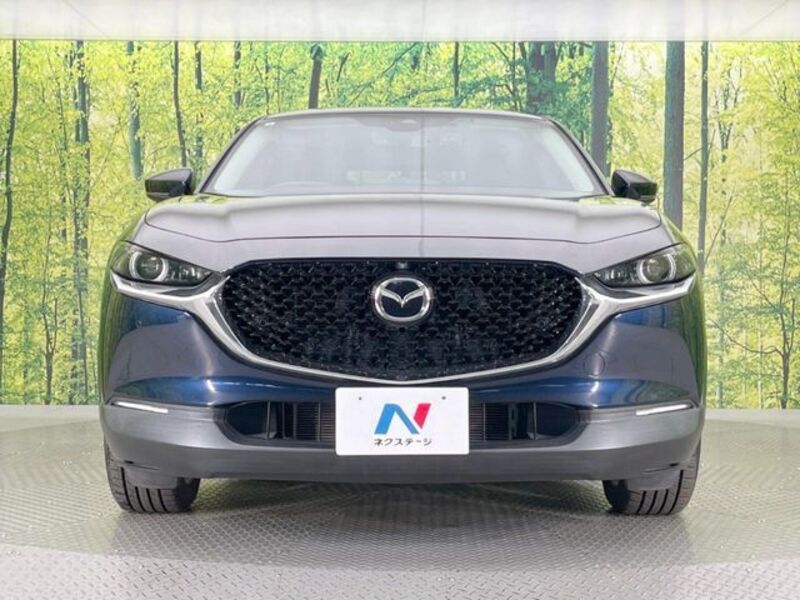 CX-30
