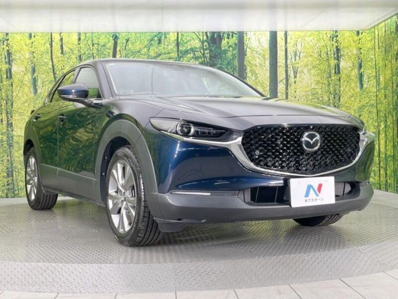 CX-30