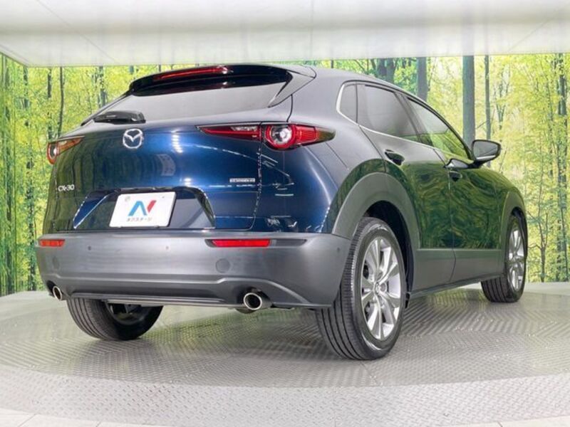 CX-30