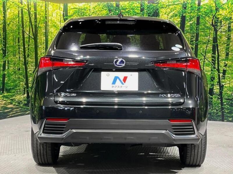 NX