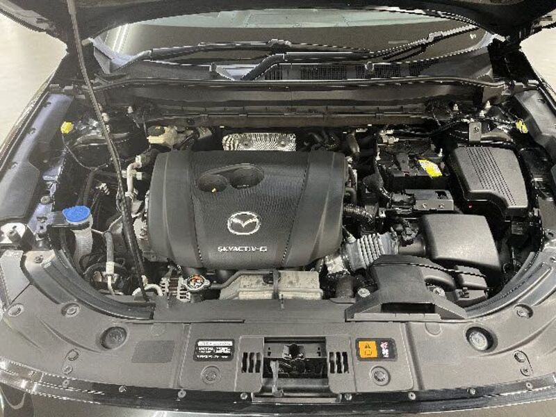 CX-8