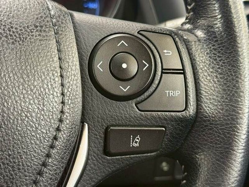 AURIS