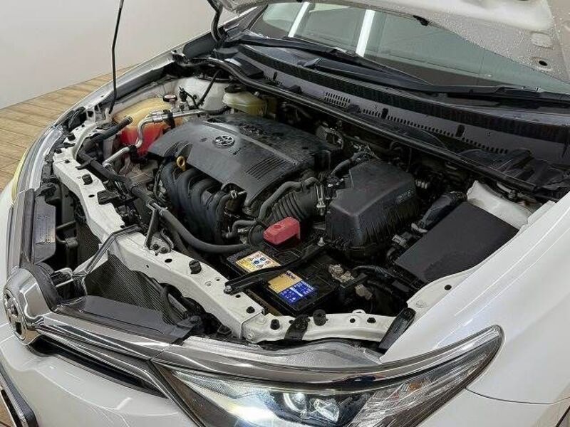 AURIS