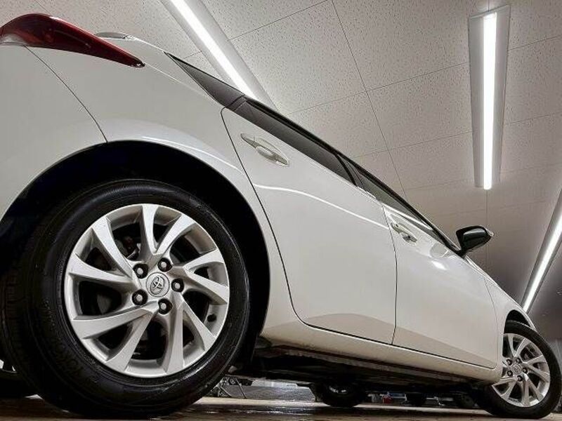 AURIS