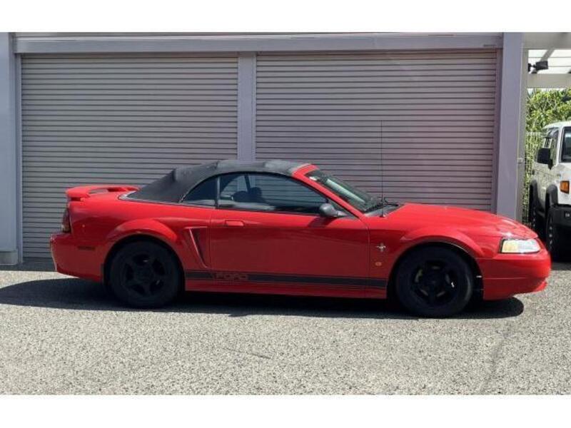 MUSTANG