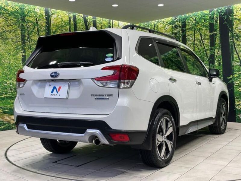 FORESTER