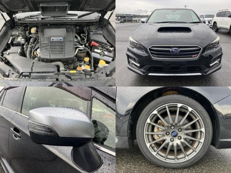 LEVORG