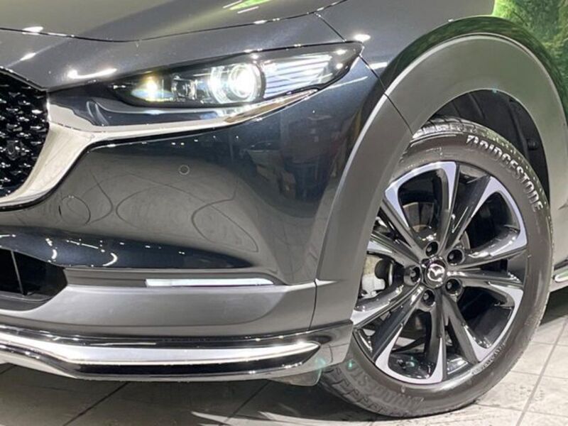 CX-30