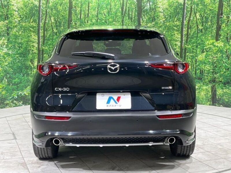 CX-30