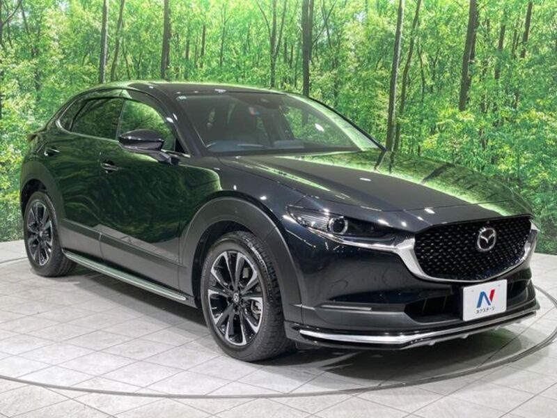CX-30