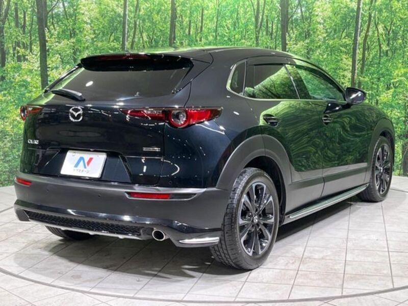 CX-30