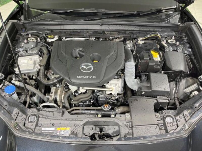 CX-30
