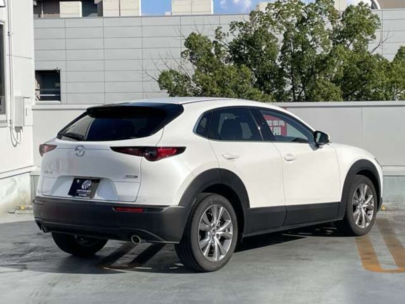 CX-30