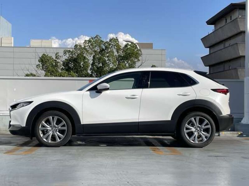 CX-30