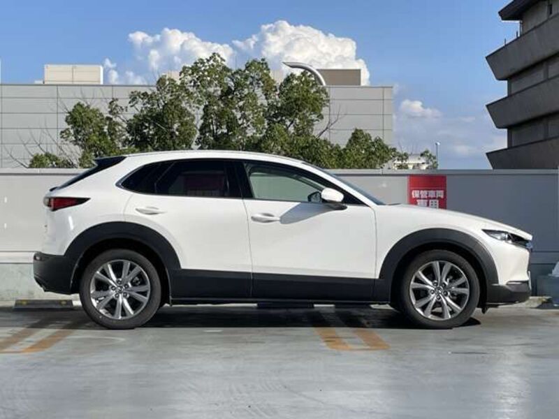 CX-30