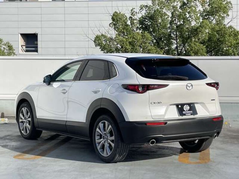 CX-30