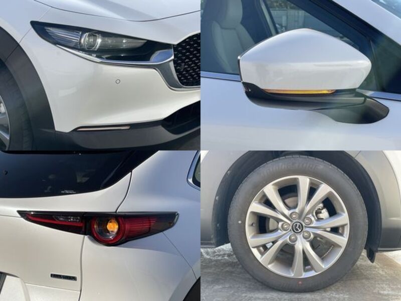 CX-30