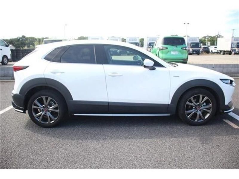 CX-30
