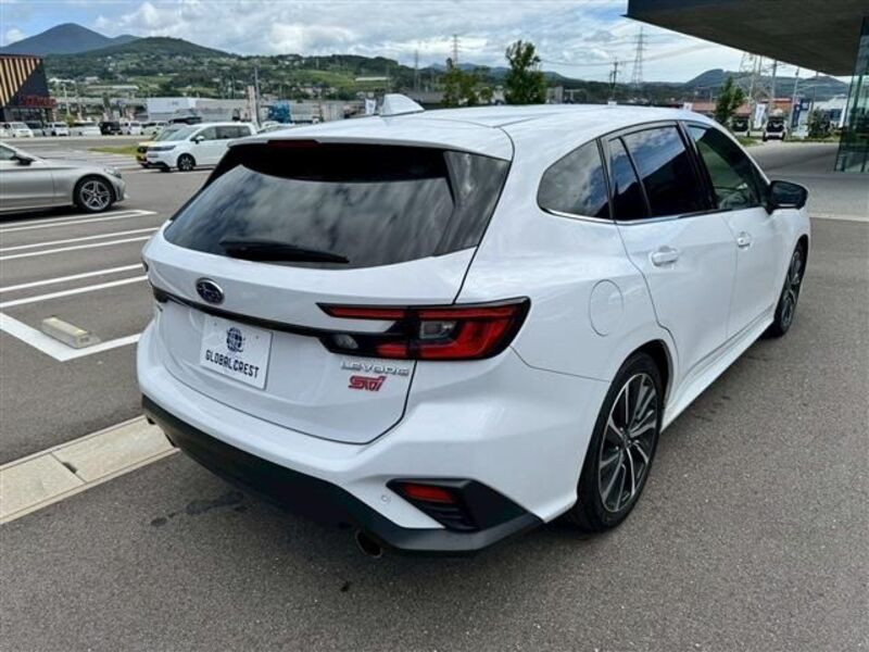 LEVORG