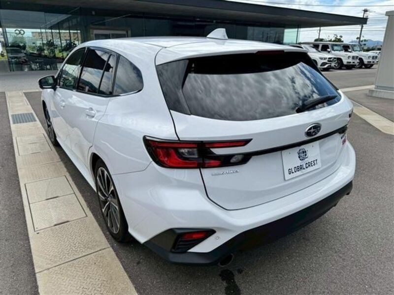 LEVORG