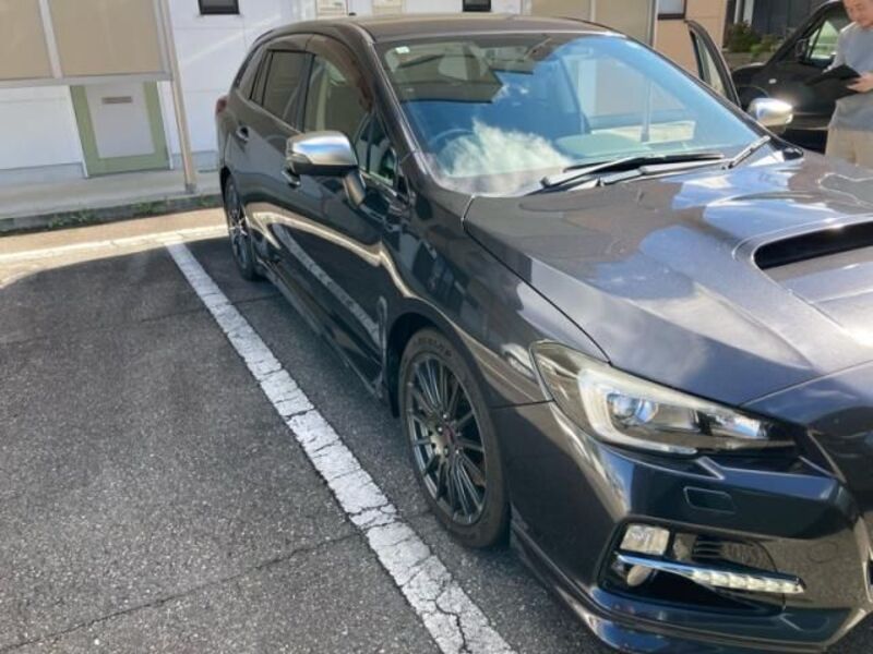 LEVORG