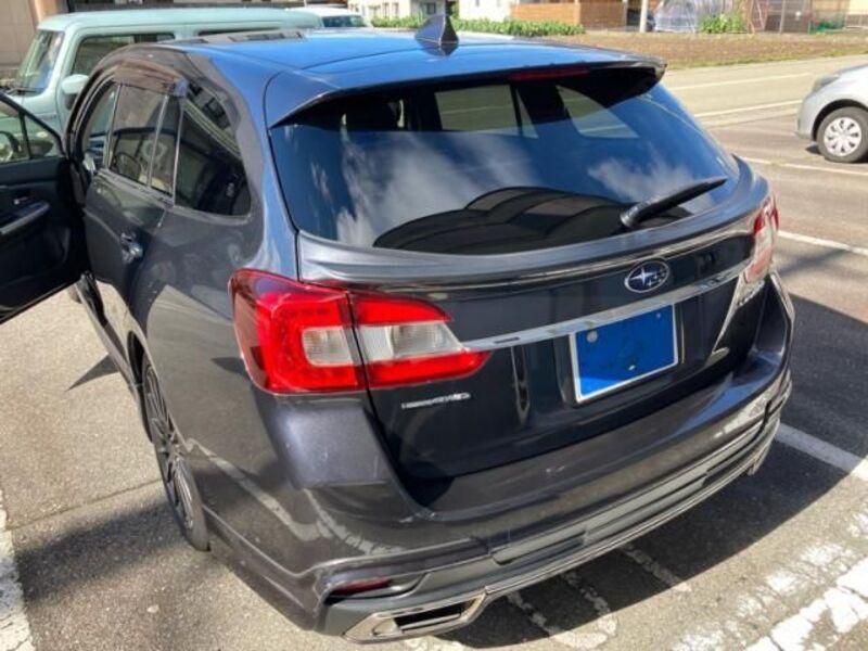 LEVORG