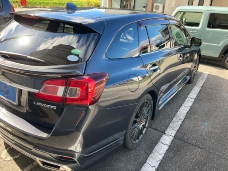 LEVORG