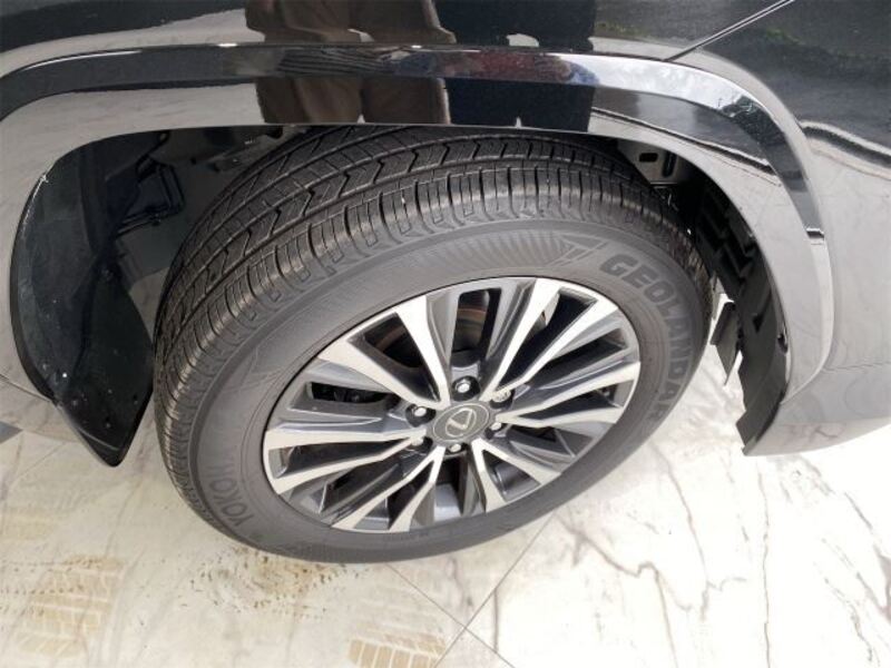 LX