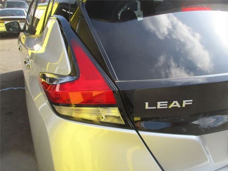 LEAF