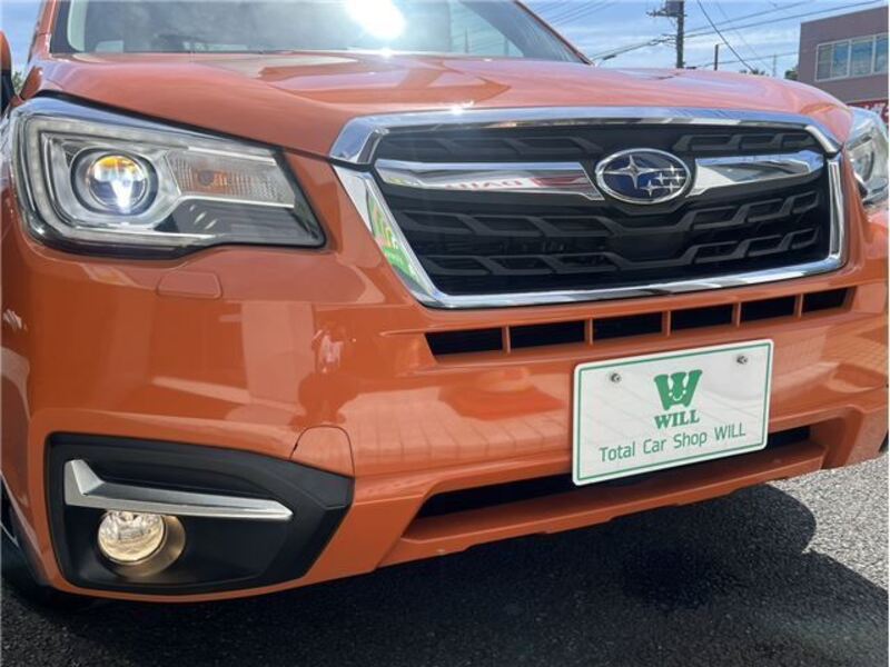 FORESTER