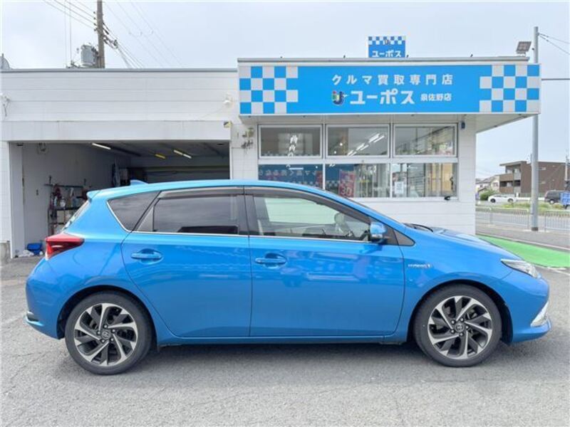 AURIS