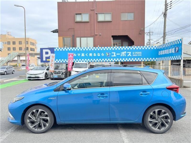AURIS