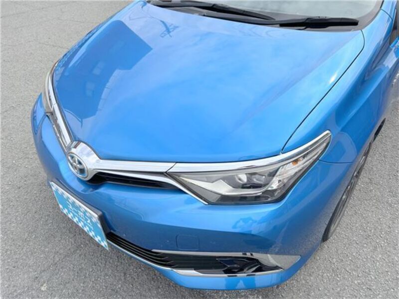 AURIS