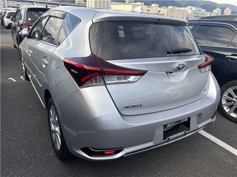 AURIS