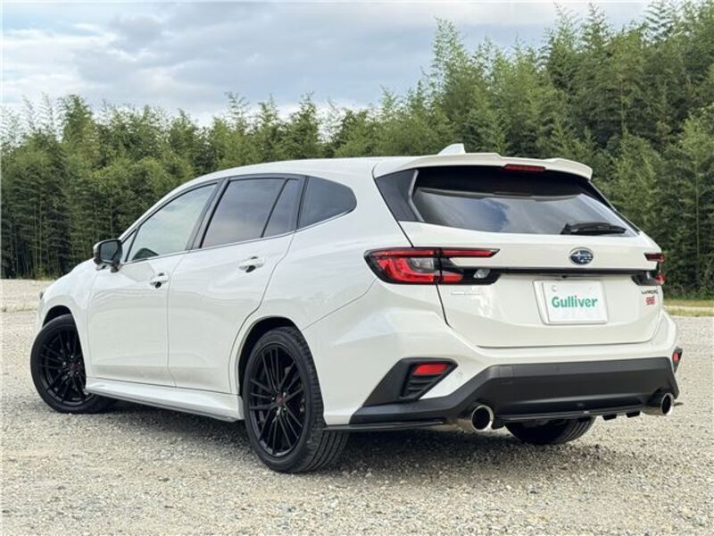 LEVORG