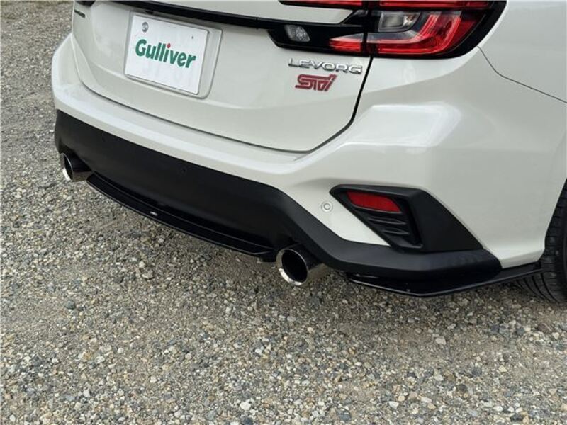 LEVORG