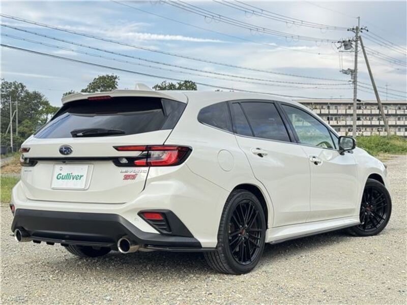 LEVORG