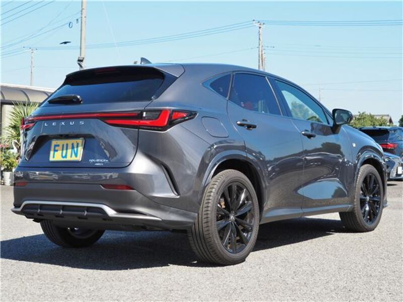 NX