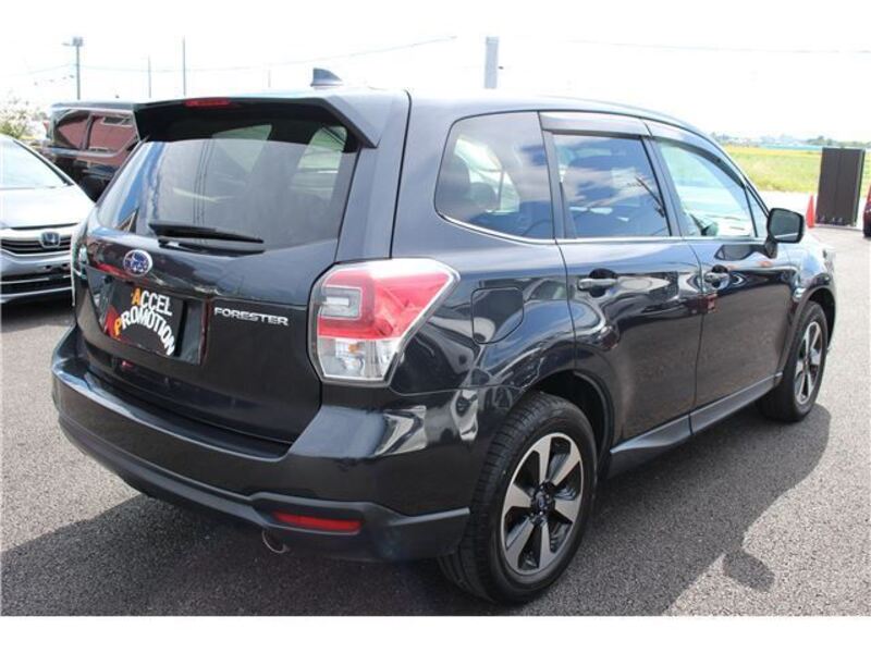 FORESTER
