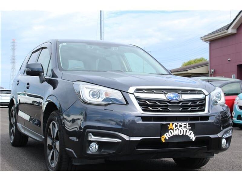 FORESTER