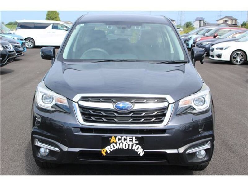 FORESTER